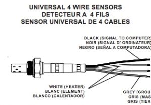 4 Wire Oxygen Sensor Diagram Diagram Of Oxygen Sensor Wiring Diagram Data