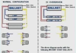 4 Wire Trailer Plug Diagram 4 Wire Trailer Lights Diagram Curt Trailer Wiring Diagram Gallery