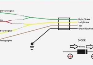 4 Wire Trailer Plug Diagram Wiring Diagram for Trailer Light 4 Way Bookingritzcarlton Info