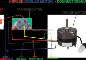 4 Wire Wiper Motor Wiring Diagram 4 Wire Motor Diagram Kuiyt Repeat7 Klictravel Nl