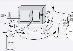400w Metal Halide Wiring Diagram Ge Hid Ballast Wiring Diagram Wiring Diagram Sys 400w Metal Halide Wiring Diagram Ge Hid Ballast Wiring Diagram Wiring Diagram Sys
