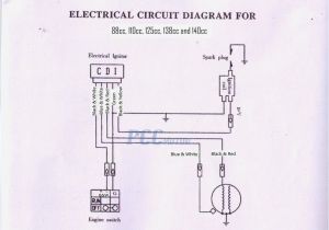 43cc Mini Chopper Wiring Diagram Choppers 49cc 2 Stroke Wiring Diagram Blog Wiring Diagram 43cc Mini Chopper Wiring Diagram Choppers 49cc 2 Stroke Wiring Diagram Blog Wiring Diagram