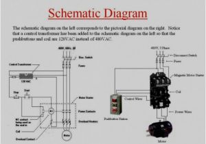 480 Motor Wiring Diagram 480 Three Phase Motor Wiring Wiring Diagram