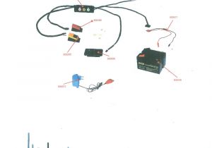 49cc Mini Chopper Wiring Diagram Manual 49cc Wiring Diagram Wiring Diagram Mega