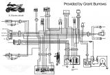 49cc Mini Chopper Wiring Diagram Manual Wiring Harness for Mini Chopper Wiring Diagram Technic