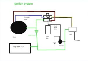 49cc Pocket Bike Wiring Diagram Harley Davidson Pocket Bike Wiring Diagram Wiring Diagram Expert 49cc Pocket Bike Wiring Diagram Harley Davidson Pocket Bike Wiring Diagram Wiring Diagram Expert