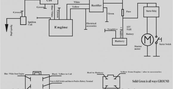49cc Pocket Bike Wiring Diagram Wiring Diagram 49cc Pocket Bike Wiring Diagram Expert