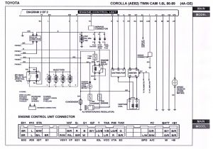 4agze Wiring Diagram 4age Alternator Wiring Diagram Wiring Diagram Centre