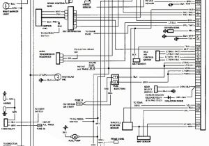 4l60e Neutral Safety Switch Wiring Diagram 4l80e Neutral Safety Switch Wiring Diagram Wiring Diagram Show