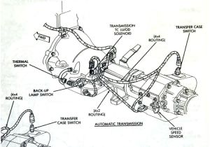 4l60e Transmission Wiring Diagram 4l60e Transmission Wiring Harness Diagram Wiring Diagram Article