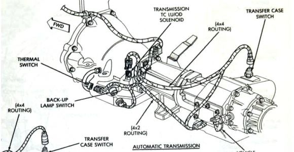 4l60e Transmission Wiring Diagram 4l60e Transmission Wiring Harness Diagram Wiring Diagram Article