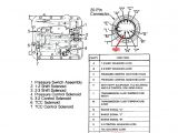 4l60e Transmission Wiring Diagram Wiring Plug Diagram Further Transmission Wiring Plug Diagram New