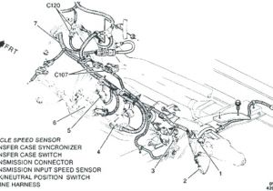 4l60e Wiring Harness Diagram Transmission Cooler Lines Also 4l60e Transmission Wiring Harness