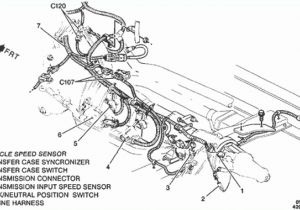 4l80e External Wiring Harness Diagram 4l60e Transmission Wiring Harness Diagram Wiring Diagram sort