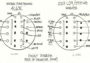 4l80e External Wiring Harness Diagram 4l60e Transmission Wiring Harness Diagram Wiring Diagram sort 4l80e External Wiring Harness Diagram 4l60e Transmission Wiring Harness Diagram Wiring Diagram sort