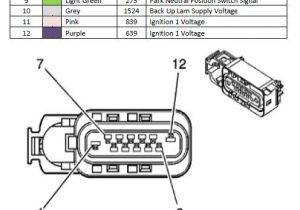 4l80e Neutral Safety Switch Wiring Diagram Chevy 4l80e Neutral Safety Switch Wiring Diagram Wiring Diagram Show 4l80e Neutral Safety Switch Wiring Diagram Chevy 4l80e Neutral Safety Switch Wiring Diagram Wiring Diagram Show