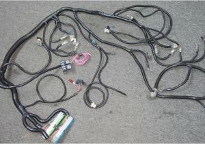 5.3 Vortec Wiring Harness Diagram 5 3 Wiring Harness Stand Alone 5.3 Vortec Wiring Harness Diagram 5 3 Wiring Harness Stand Alone