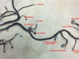 5.3 Vortec Wiring Harness Diagram 5 3 Wiring Harness Stand Alone