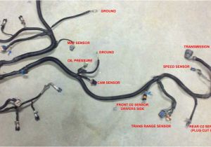 5.3 Vortec Wiring Harness Diagram 5 3 Wiring Harness Stand Alone