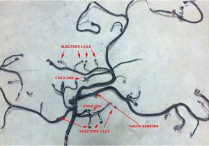 5.3 Vortec Wiring Harness Diagram 5 3 Wiring Harness Standalone Schematic and Wiring Diagram 5.3 Vortec Wiring Harness Diagram 5 3 Wiring Harness Standalone Schematic and Wiring Diagram