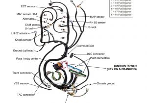 5.3 Vortec Wiring Harness Diagram 5 3l Vortec Wiring Harness with Labels Auto Electrical 5.3 Vortec Wiring Harness Diagram 5 3l Vortec Wiring Harness with Labels Auto Electrical