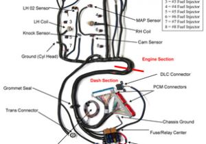 5.3 Wiring Harness Diagram 6 0 Wiring Harness Diagram Wiring Diagram Paper