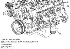 5.3 Wiring Harness Diagram Graphic Ls Swap Info Chevrolet Silverado 1500 Chevrolet