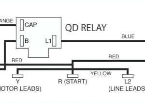 5 Hp Electric Motor Single Phase Wiring Diagram 34337d1318791598jedispeakermicwiringnmn6191nmn6193wiringjpg New 5 Hp Electric Motor Single Phase Wiring Diagram 34337d1318791598jedispeakermicwiringnmn6191nmn6193wiringjpg New