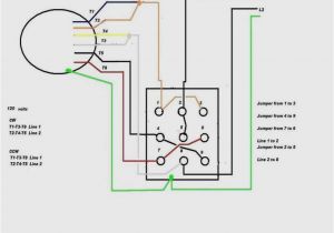 5 Hp Electric Motor Wiring Diagram Gast 86r Compressor Wiring Diagram Wiring Diagram Img