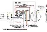 5 Pin Cdi Box Wiring Diagram 5 Pin Cdi Box Wiring Wiring Diagram for You