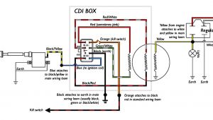 5 Pin Cdi Box Wiring Diagram 5 Pin Cdi Box Wiring Wiring Diagram for You