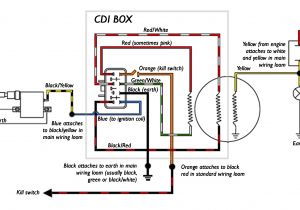 5 Pin Cdi Box Wiring Diagram 5 Pin Cdi Box Wiring Wiring Diagram for You 5 Pin Cdi Box Wiring Diagram 5 Pin Cdi Box Wiring Wiring Diagram for You