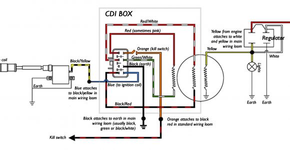 5 Pin Cdi Box Wiring Diagram 5 Pin Cdi Box Wiring Wiring Diagram for You