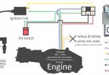 5 Pin Cdi Box Wiring Diagram Honda Elite Wiring Diagram Manual E Book