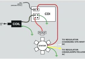 5 Pin Cdi Box Wiring Diagram Honda Xrm 125 Cdi Wiring Diagram Wiring Diagram Host 5 Pin Cdi Box Wiring Diagram Honda Xrm 125 Cdi Wiring Diagram Wiring Diagram Host