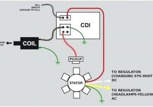 5 Pin Cdi Box Wiring Diagram Honda Xrm 125 Cdi Wiring Diagram Wiring Diagram Host