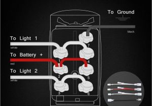 5 Pin Illuminated Rocker Switch Wiring Diagram 5 Pin toggle Switch Wiring Diagram Wiring Diagram Networks