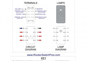 5 Pin Momentary Switch Wiring Diagram Dpdt toggle Switch Wiring Diagram for Stereo Input Wiring Diagram