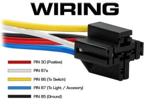 5 Pin Relay socket Wiring Diagram 5 Pin 40a Relay and Wire Harness Spdt 12v 5 Pack 5 Pin Relay socket Wiring Diagram 5 Pin 40a Relay and Wire Harness Spdt 12v 5 Pack