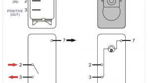 5 Terminal Rocker Switch Wiring Diagram F2b Dpdt Guitar Switch Wiring Diagram Free Picture Wiring