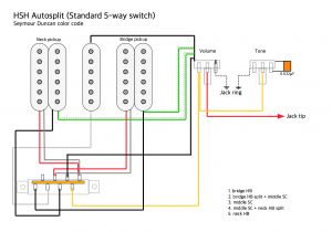 5 Way Switch Wiring Diagram Guitar F2b Dpdt Guitar Switch Wiring Diagram Free Picture Wiring