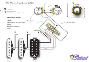 5 Way Switch Wiring Diagram Guitar Pin Em Guitar Wiring