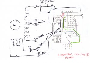 5 Wire Ac Motor Wiring Diagram Wiring Information 5 Wire Ac Motor Wiring Diagram Wiring Information