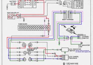 5 Wire Door Lock Actuator Wiring Diagram Actuator Wiring Diagram Wiring Diagram Repair Guides
