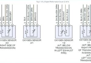 5 Wire Oxygen Sensor Wiring Diagram Dodge Neon Fuel Pump Diagram In Addition 2003 Dodge Ram 1500 O2 5 Wire Oxygen Sensor Wiring Diagram Dodge Neon Fuel Pump Diagram In Addition 2003 Dodge Ram 1500 O2
