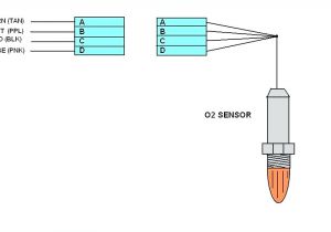 5 Wire Oxygen Sensor Wiring Diagram ford Super Duty Oxygen Sensor Diagram Data Schematic Diagram