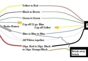 5 Wire Trailer Harness Diagram 5 Wire to 4 Wire Trailer Wiring Diagram Wiring Diagram 5 Wire Trailer Harness Diagram 5 Wire to 4 Wire Trailer Wiring Diagram Wiring Diagram