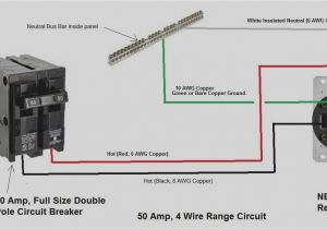 50 Amp 4 Prong Plug Wiring Diagram 220 Plug Wiring Diagrams Wiring Diagram