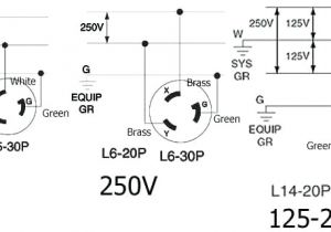 50 Amp Rv Plug Wiring Diagram 50 Amp Twist Lock Plug Wiring Diagram Unique Rv Park Wiring Diagram
