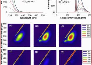 50's Style Les Paul Wiring Diagram Hair Color Questions Awesome Hair Coloration with Khadi
